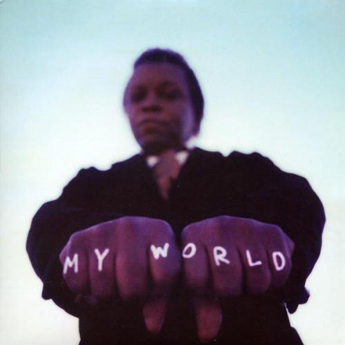 Lee Fields My World.jpg